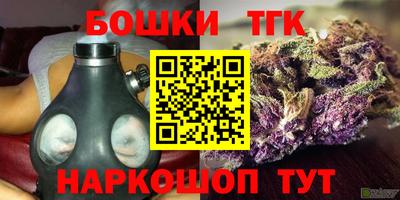 МДПВ Обь