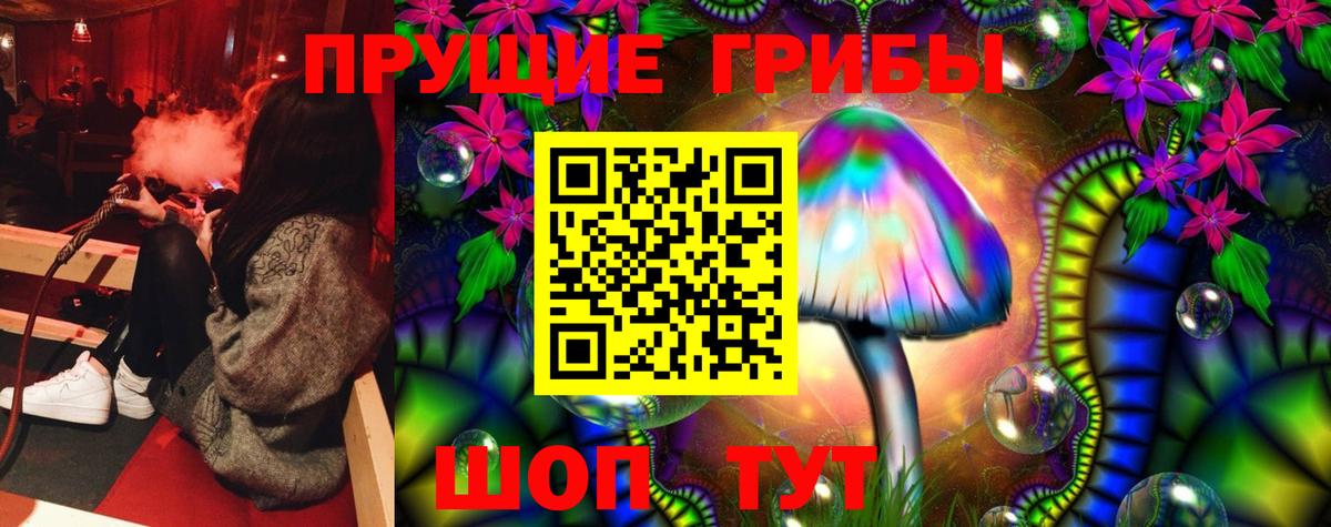 Галлюциногенные грибы Psilocybe  Вход с VPN  Сланцы  Галлюциногенные грибы мухоморы 